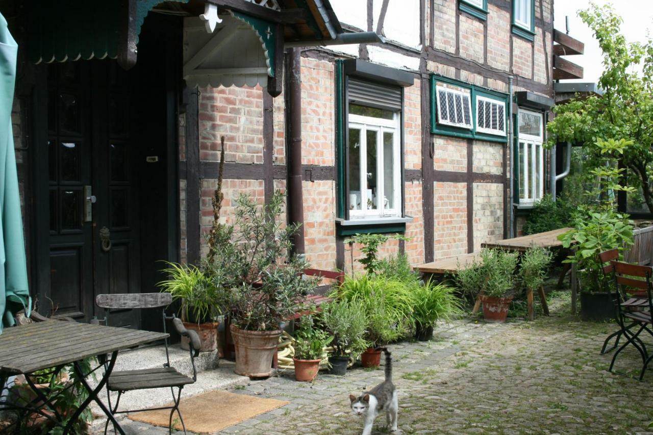 Apartments Cafe Brennnessel Veltheim 外观 照片
